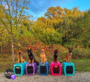 We’re 100% Trusted Agency